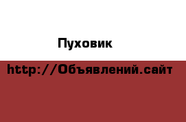 Пуховик D&G. В идиальном состоянии  › Цена ­ 25 000 - Московская обл. Одежда, обувь и аксессуары » Мужская одежда и обувь   . Московская обл.